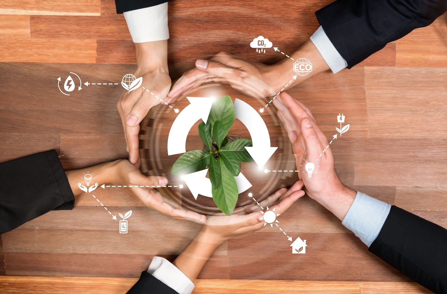 The Ethics of Carbon Trading: Ensuring Transparency in the Marketplace
