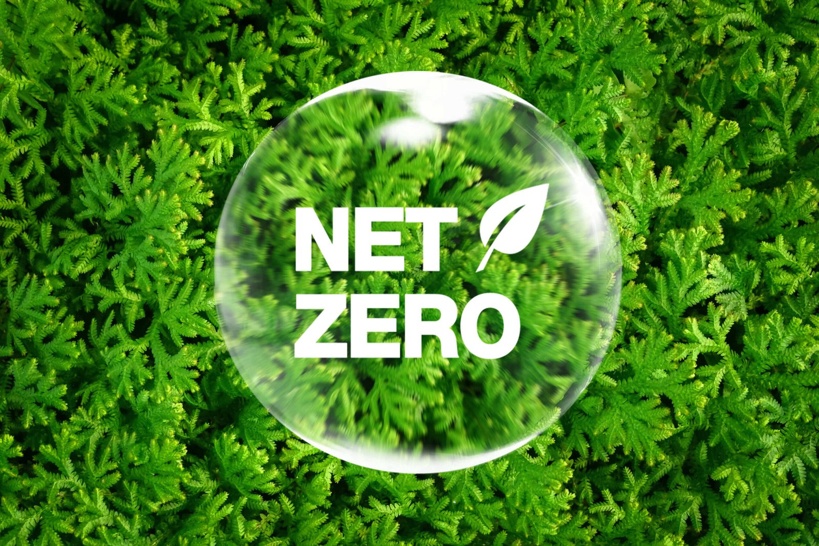 Breaking Down the Business Case for Net-Zero: Financial and Brand Benefits