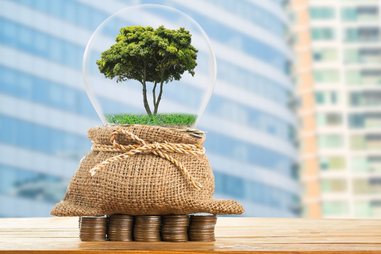 Why Carbon Offsets Matter: Understanding the Science Behind Credible Credits